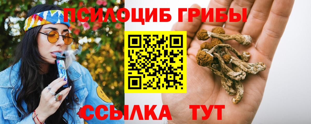 Псилоцибиновые грибы Magic Shrooms Торжок