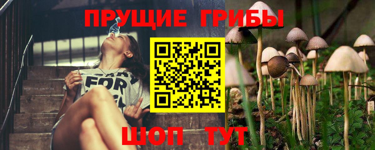даркнет сайт  Вход с VPN  Торжок  Галлюциногенные грибы ЛСД 